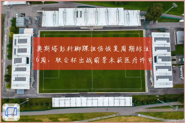 奥斯塔彭科脚踝扭伤恢复周期标注6周，联合杯出战前景未获医疗许可
