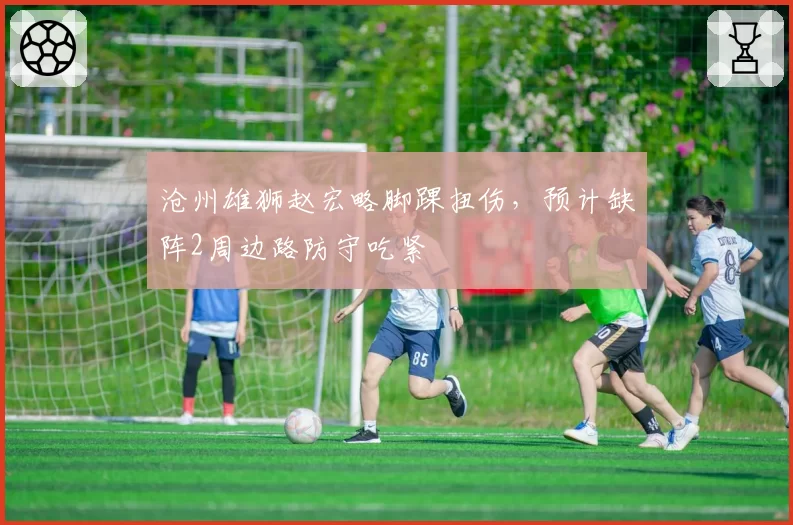 沧州雄狮赵宏略脚踝扭伤,预计缺阵2周边路防守吃紧